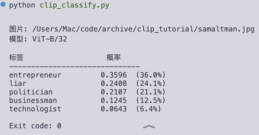 CLIP 预测结果